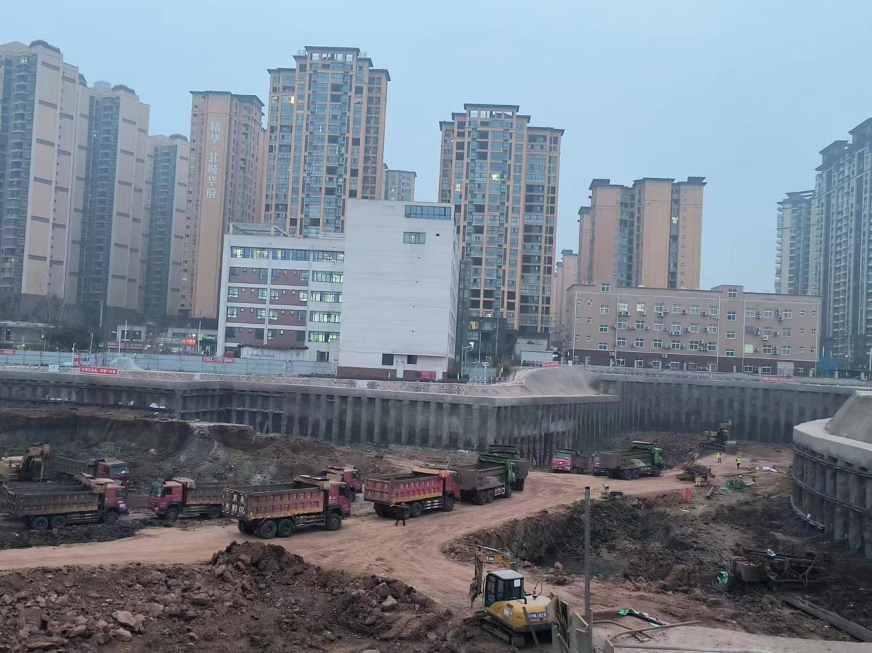 图片5