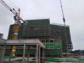 图片19