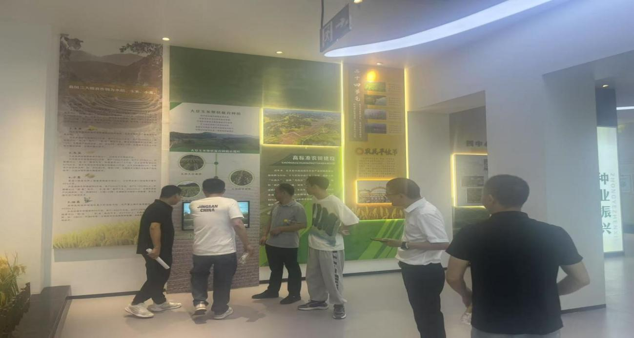 图片11